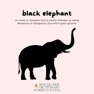 black elephant - an event or situation that is clearly foreseen as being disastrous or dangerous, but which goes ignored. 