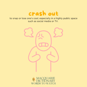 crash out - to snap or lose one’s cool, especially in a highly public space such as social media or TV. 