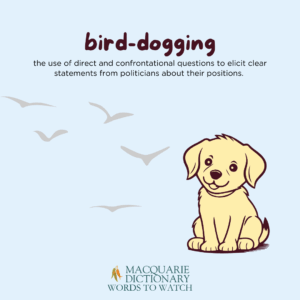 bird-dogging the use of direct and confrontational questions to elicit clear statements from politicians about their positions. 