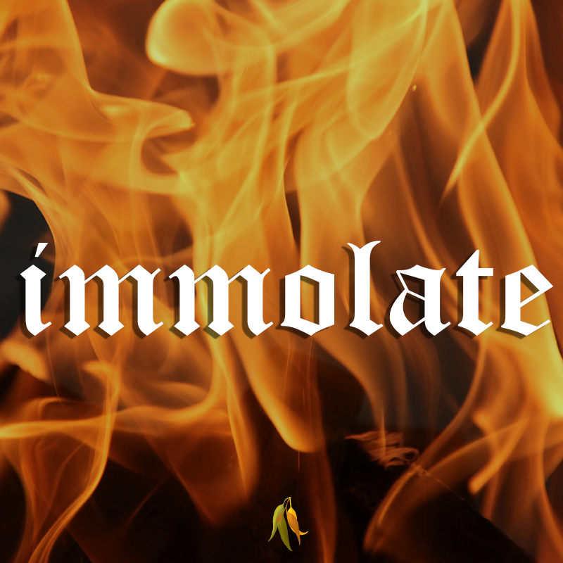 Killer words - immolate to kill as a sacrificial victim; offer in sacrifice