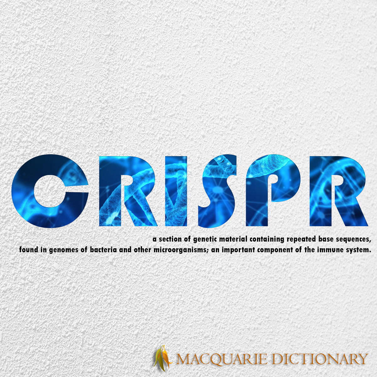Image of Macquarie Dictionary Word of the Year - CRISPR - a technology which enables editing of a genome by adding, removing, or altering a section of DNA sequence; potentially able to correct genetic defects, treat diseases, etc.