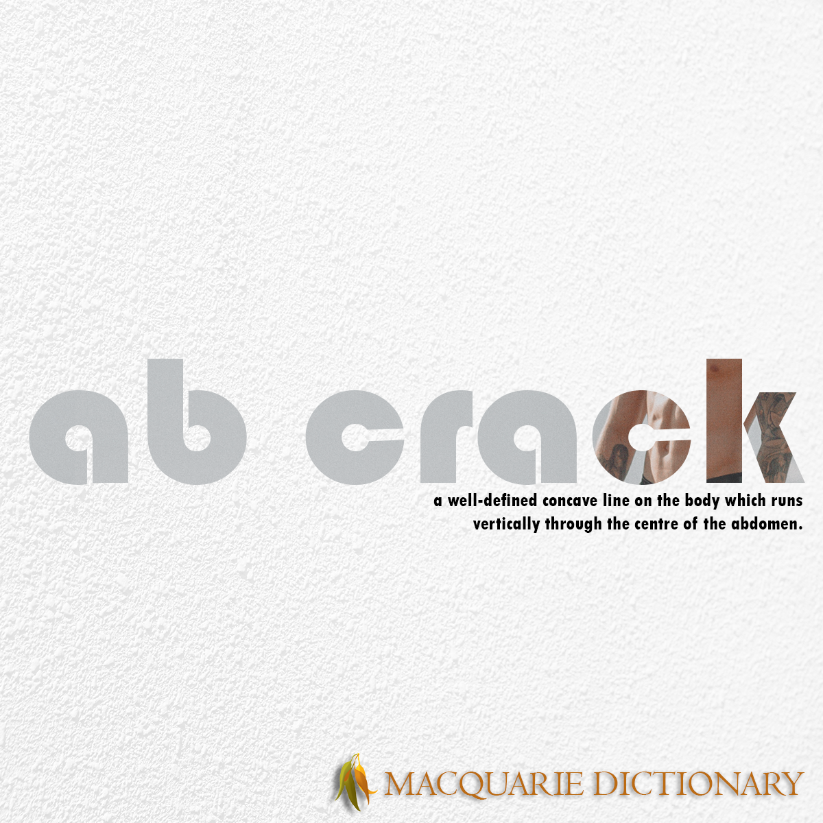 Image of Macquarie Dictionary Word of the Year - ab crack - a well-defined concave line on the body which runs vertically through the centre of the abdomen.