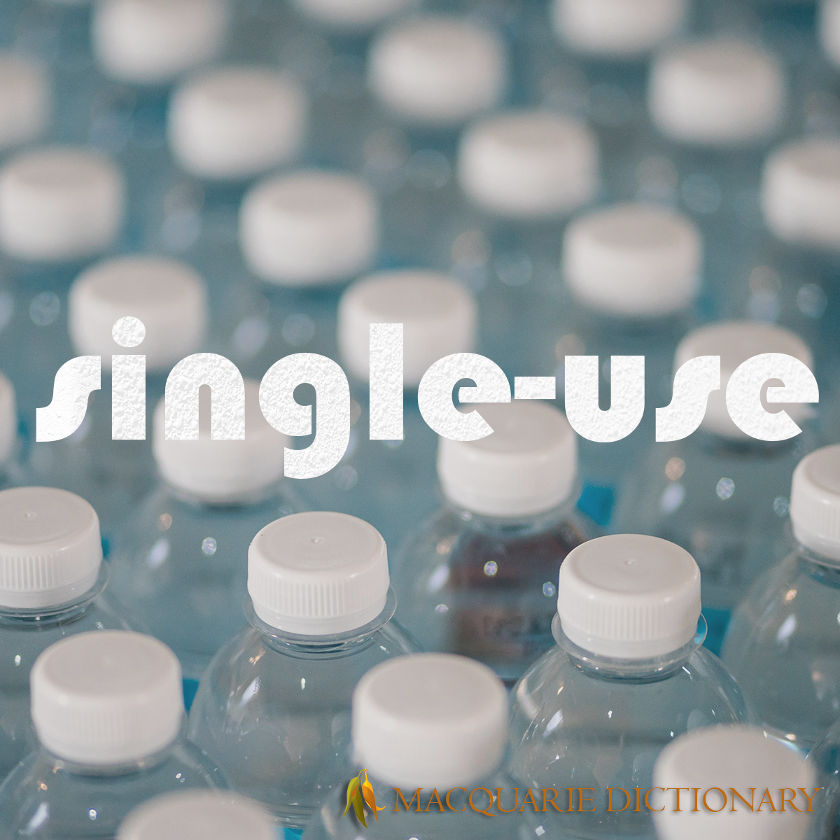 Image of Macquarie Dictionary Word of the Year - single-use - intended for disposal after only one use.