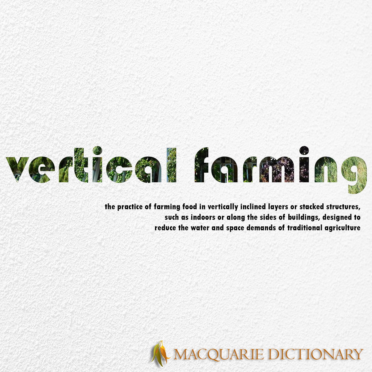 Image of Macquarie Dictionary Word of the Year - vertical farming - the practice of farming food in vertically inclined layers or stacked structures, such as indoors or along the sides of buildings, designed to reduce the water and space demands of traditional agriculture.