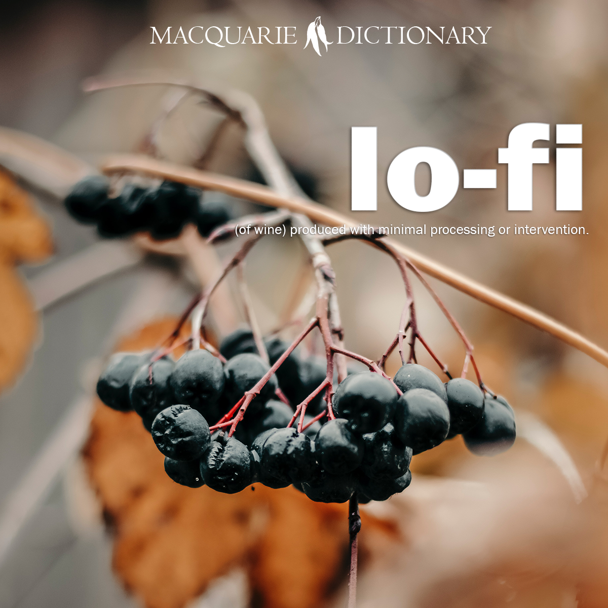 inclusion rider - a clause in the contract of an actor, filmmaker, etc., which specifies a level of diversity to be met in the project's staffing, especially in relation to gender, race, sexuality and disability. inclusion rider - a clause in the contract of an actor, filmmaker, etc., which specifies a level of diversity to be met in the project's staffing, especially in relation to gender, race, sexuality and disability.