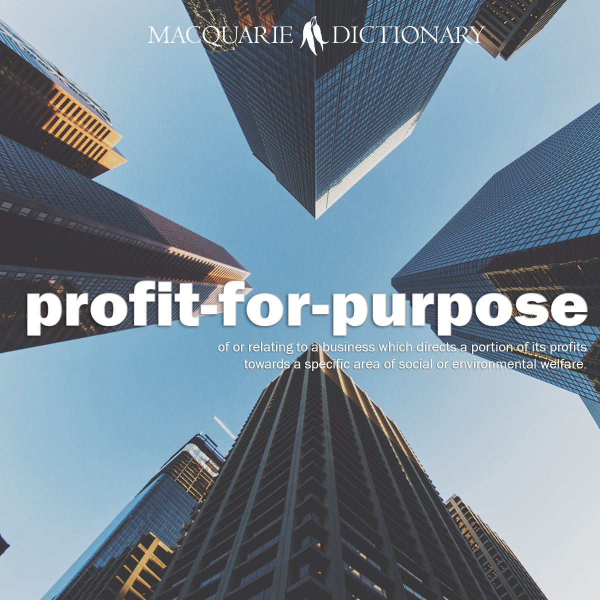 lo-fi - produced with minimal processing or intervention. lo-fi - produced with minimal processing or intervention.