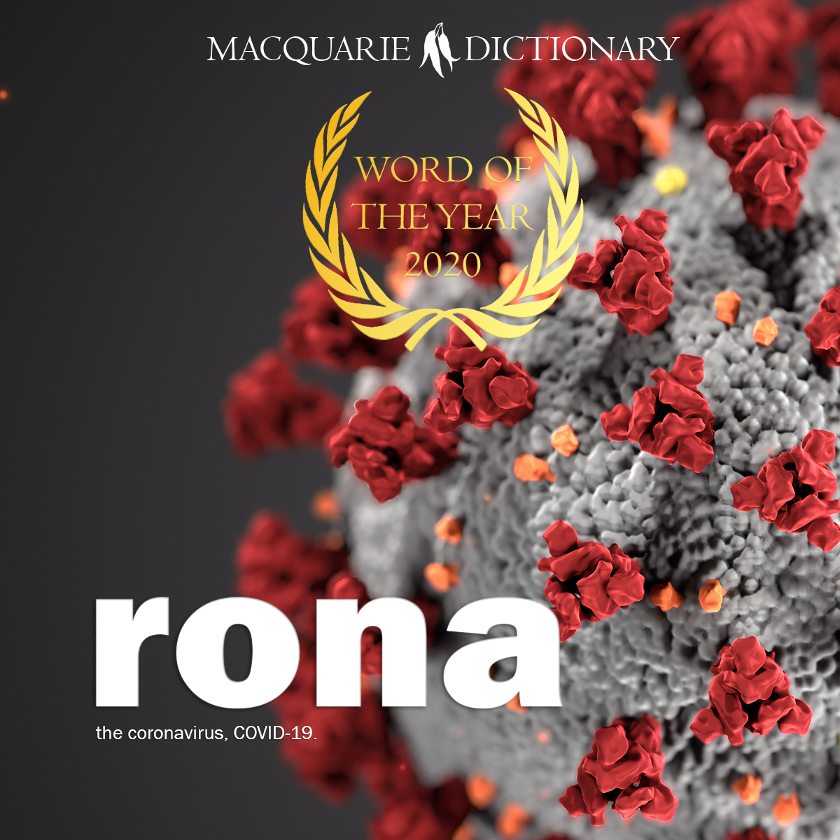 rona - COVID-19 rona - COVID-19