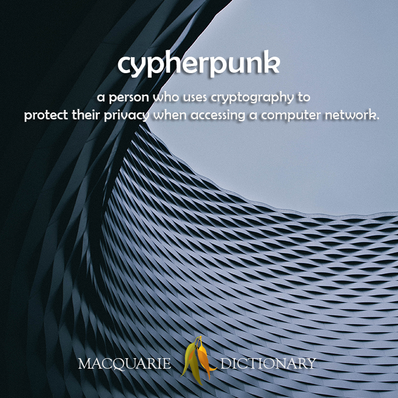 cypherpunk -  a person who uses cryptography to protect their privacy when accessing a computer network