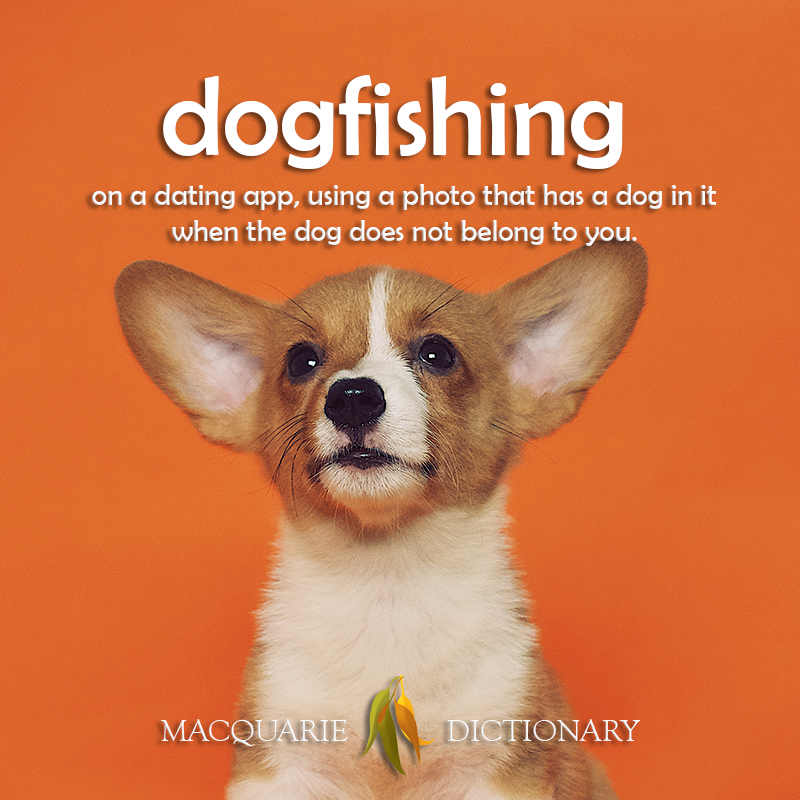 New words - dog fishing	on a dating app, using a photo that has a dog in it ...but the dog does not belong to you