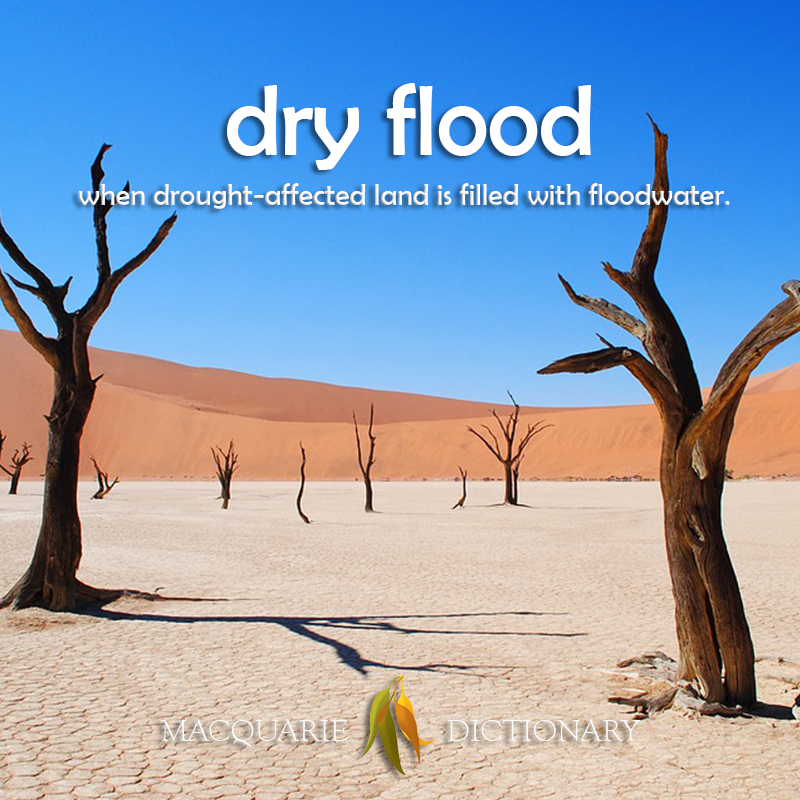 Image of definition of dry flood: when drought-affected land is filled with floodwater.