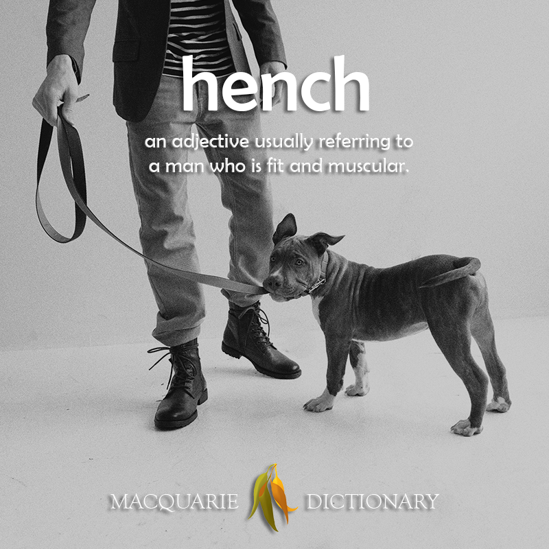 New words square - hench - an adjective usually referring to a man who is fit and muscular