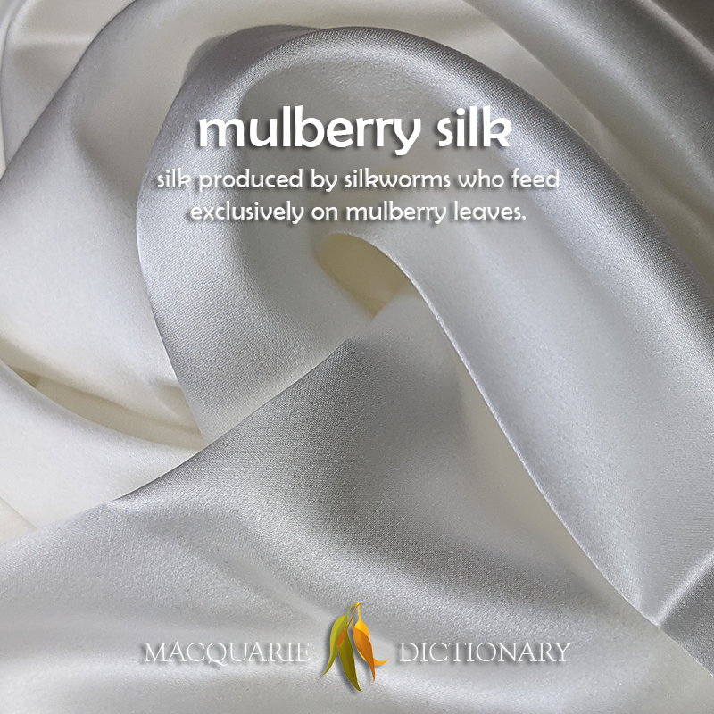 New words square - mulberry silk - silk produced by silkworms who eat mulberry leaves
