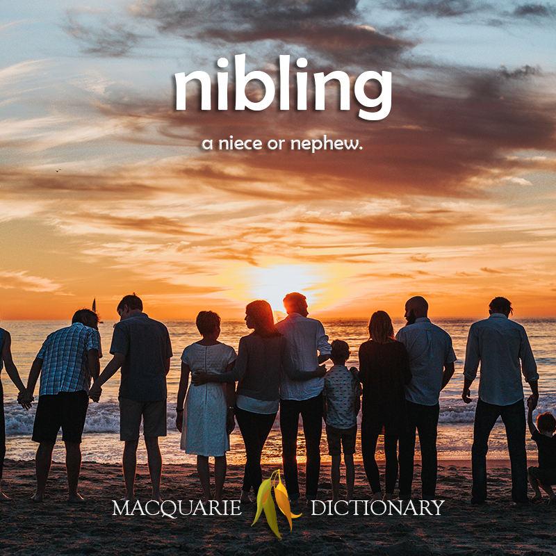 nibling - a niece or nephew
