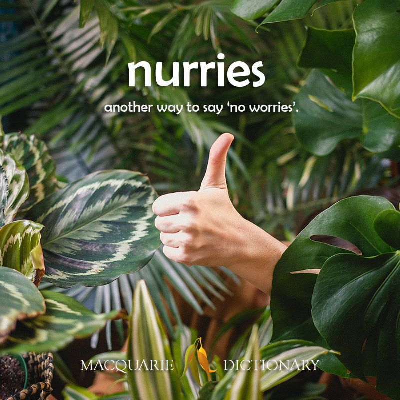 nurries - another way to say ‘no worries’