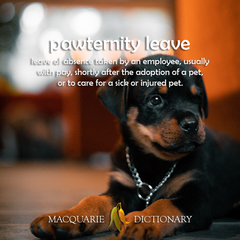 pawternity leave - leave to take care of a pet