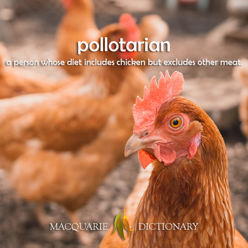 New words square - pollotarian - a person whose diet includes chicken but excludes other meat