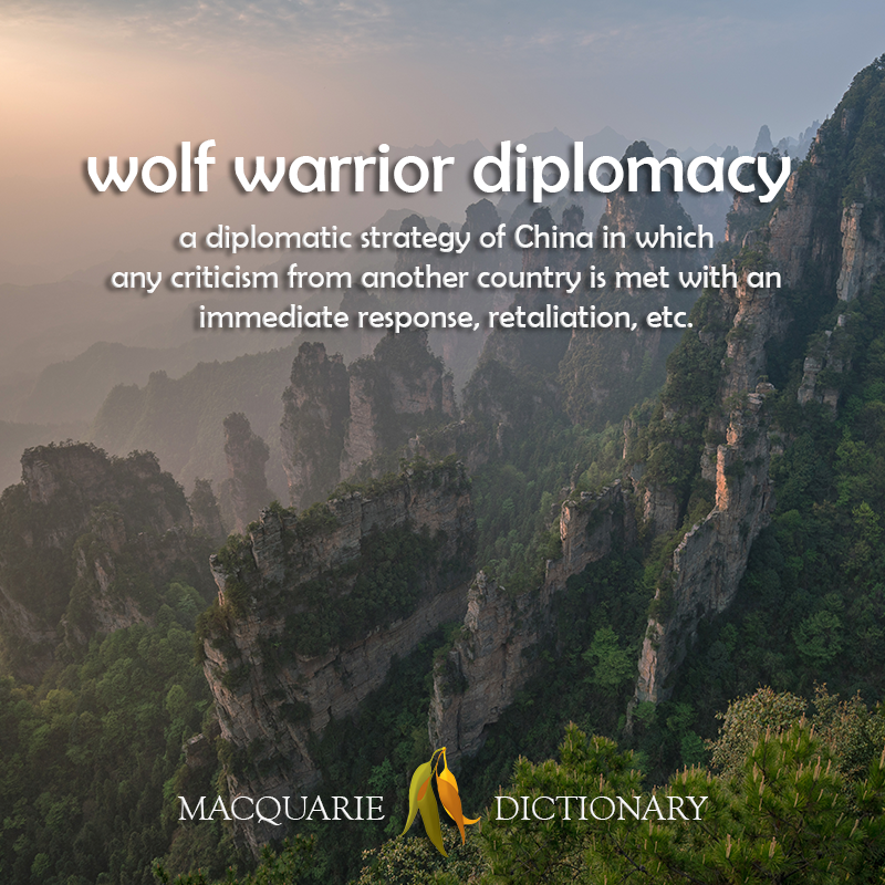 wolf warrior diplomacy - a diplomatic strategy of China in which any criticism from another country is met with an immediate response, retaliation, etc