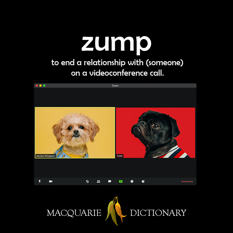 zump - to end a relationship with (someone) on a videoconference call