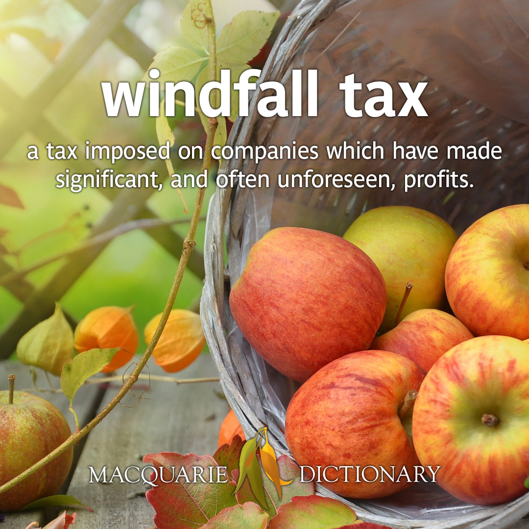 windfall tax: a tax imposed on companies which have made significant, and often unforeseen, profits.