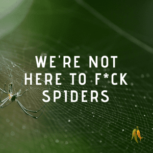 We're not here to f*ck spiders (NSFW) - Macquarie